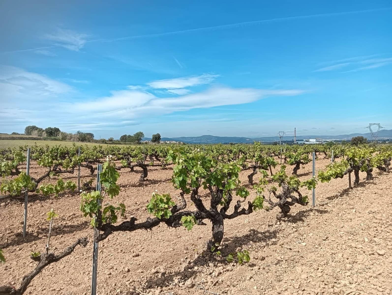 Grond te koop in L'Arboc - € 56.000 (Ref: 9151965)