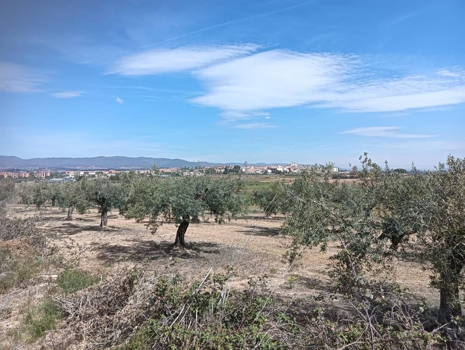 Grond te koop in L'Arboc - € 56.000 (Ref: 9151965)