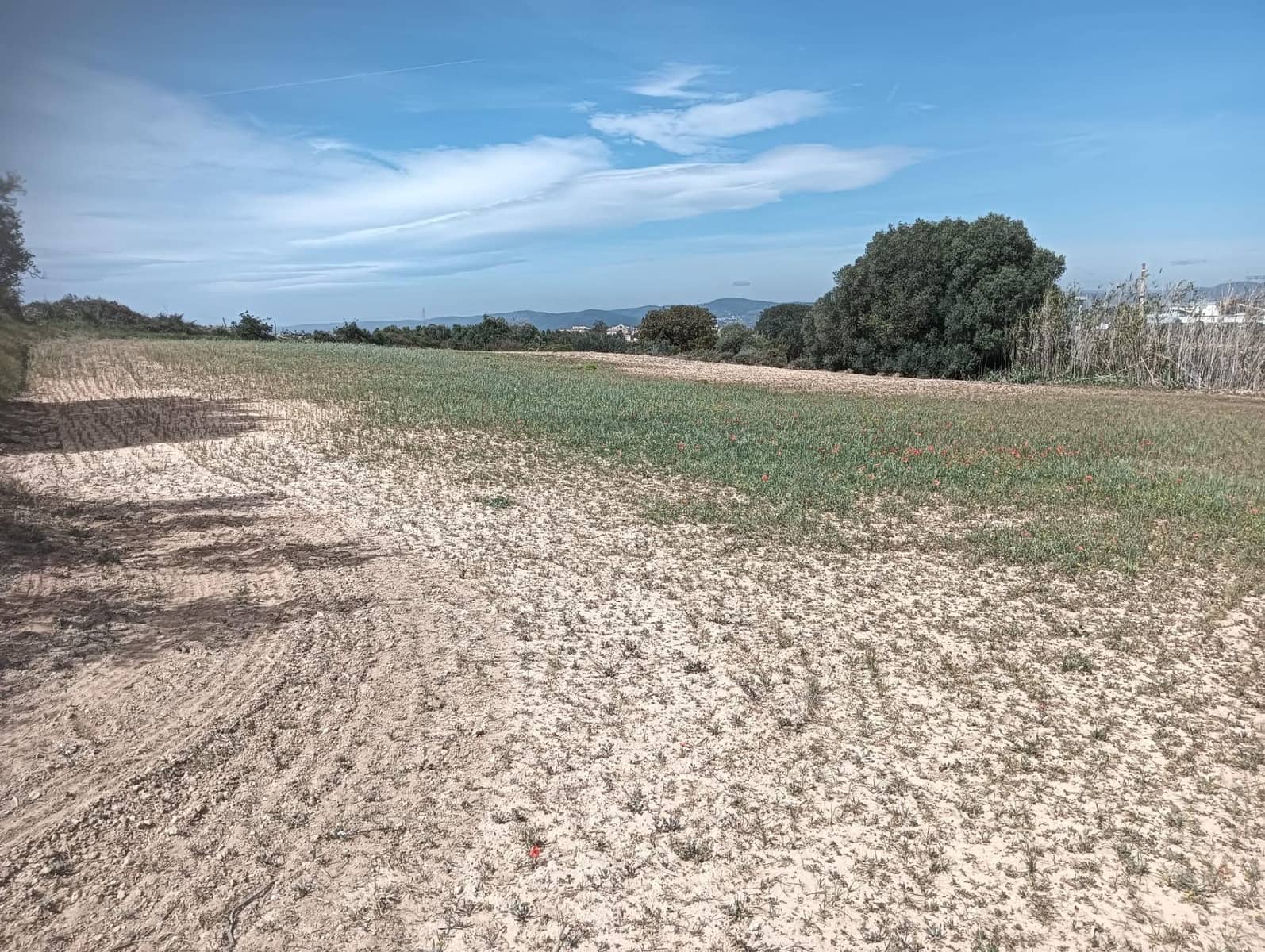 Grond te koop in L'Arboc - € 56.000 (Ref: 9151965)