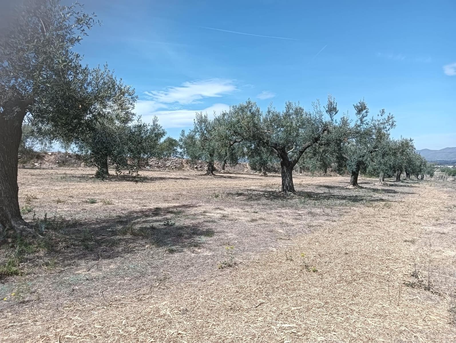 Grond te koop in L'Arboc - € 56.000 (Ref: 9151965)