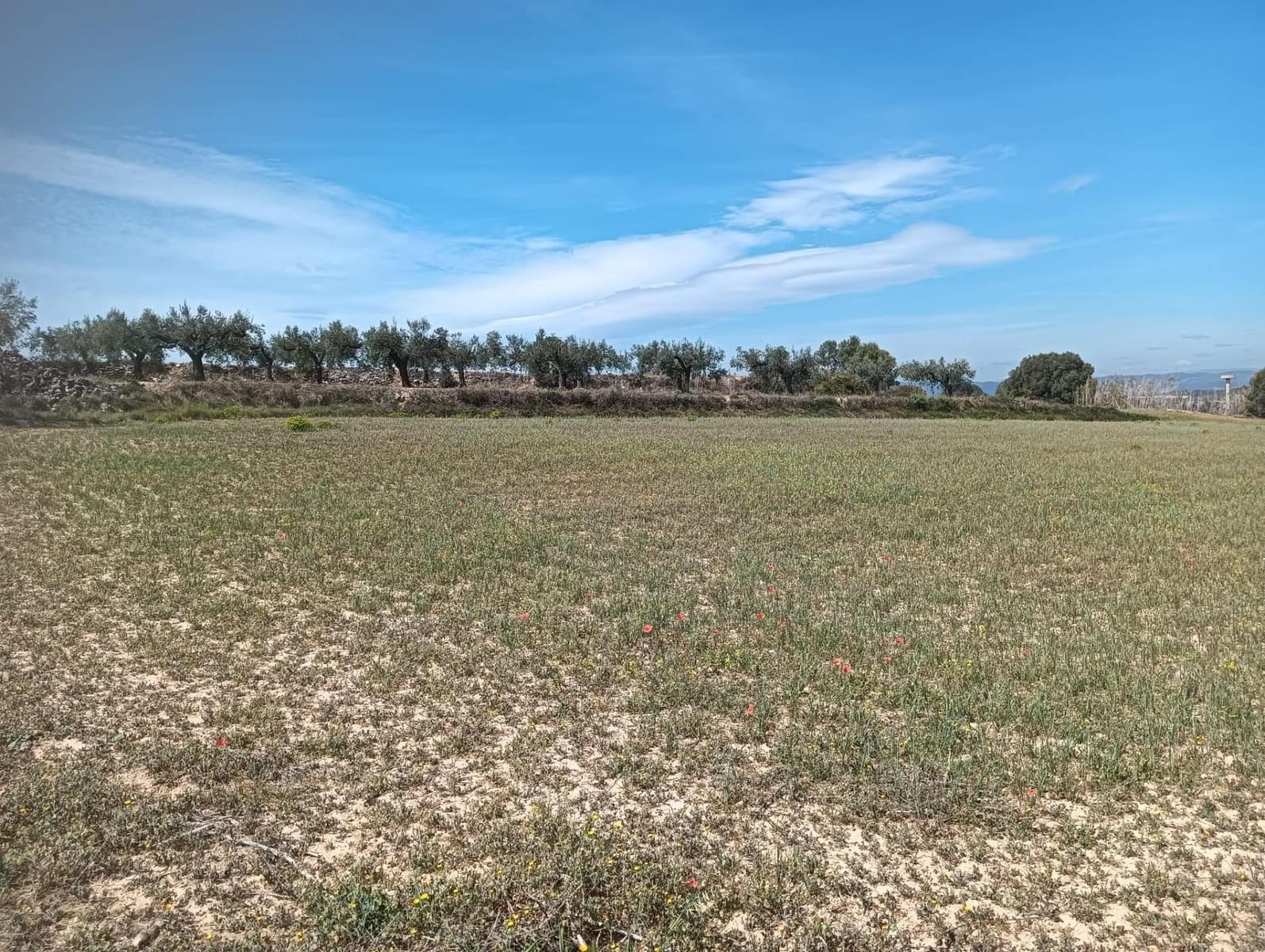 Grond te koop in L'Arboc - € 56.000 (Ref: 9151965)