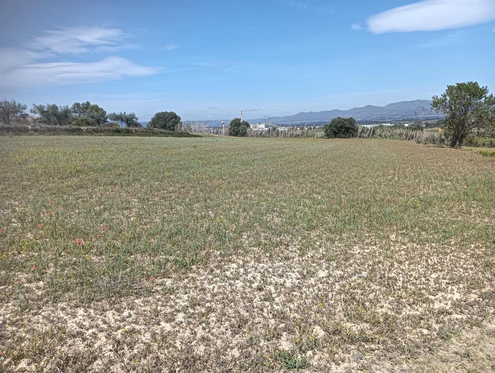 Grond te koop in L'Arboc - € 56.000 (Ref: 9151965)