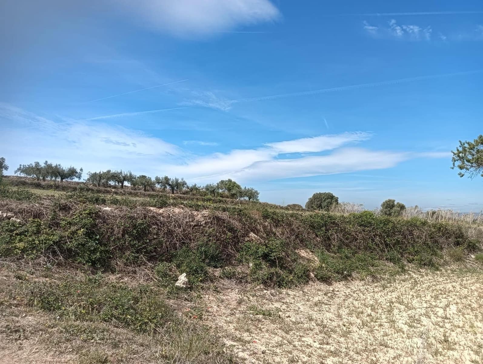 Grond te koop in L'Arboc - € 56.000 (Ref: 9151965)