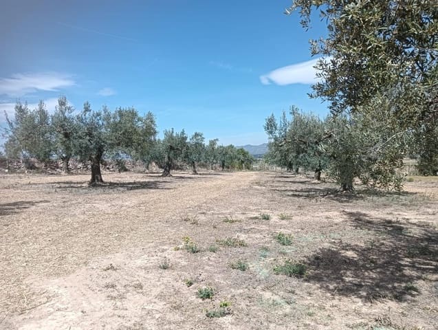 Undeveloped Land for sale in L'Arboç - € 56,000 (Ref: 9151965)