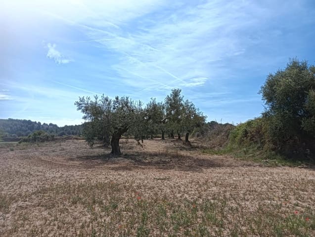 Undeveloped Land for sale in L'Arboç - € 56,000 (Ref: 9151965)