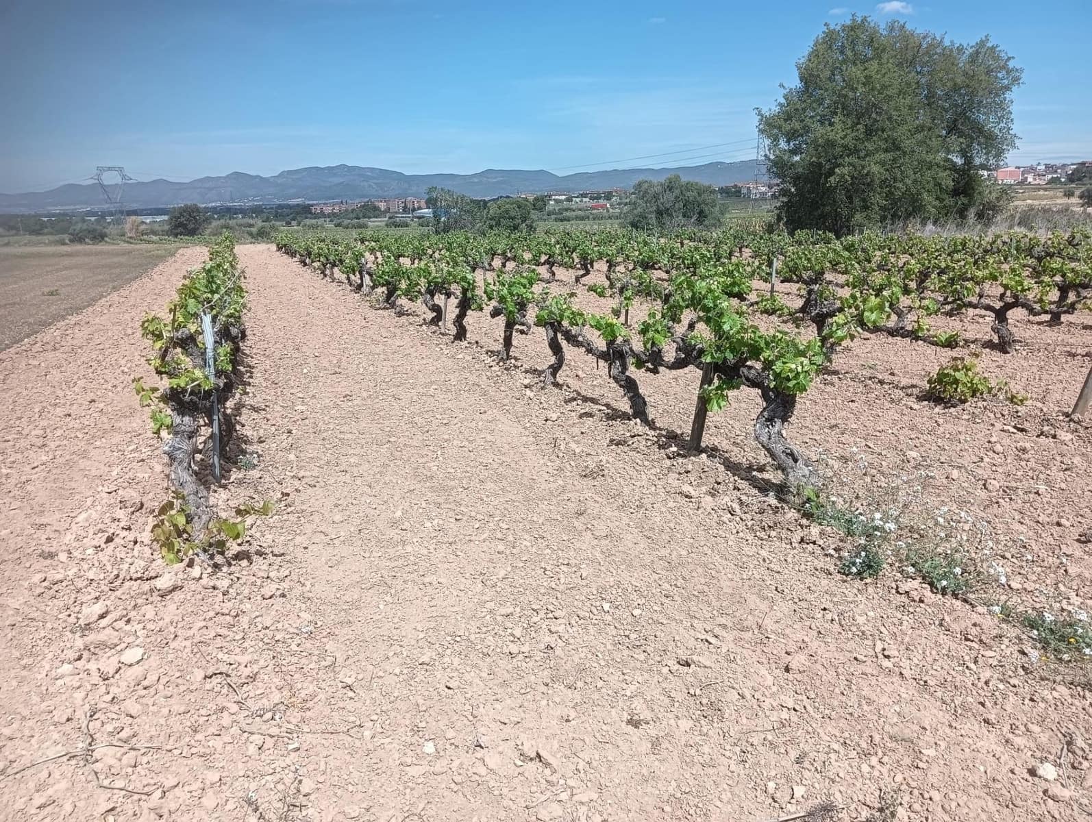 Grond te koop in L'Arboc - € 56.000 (Ref: 9151965)