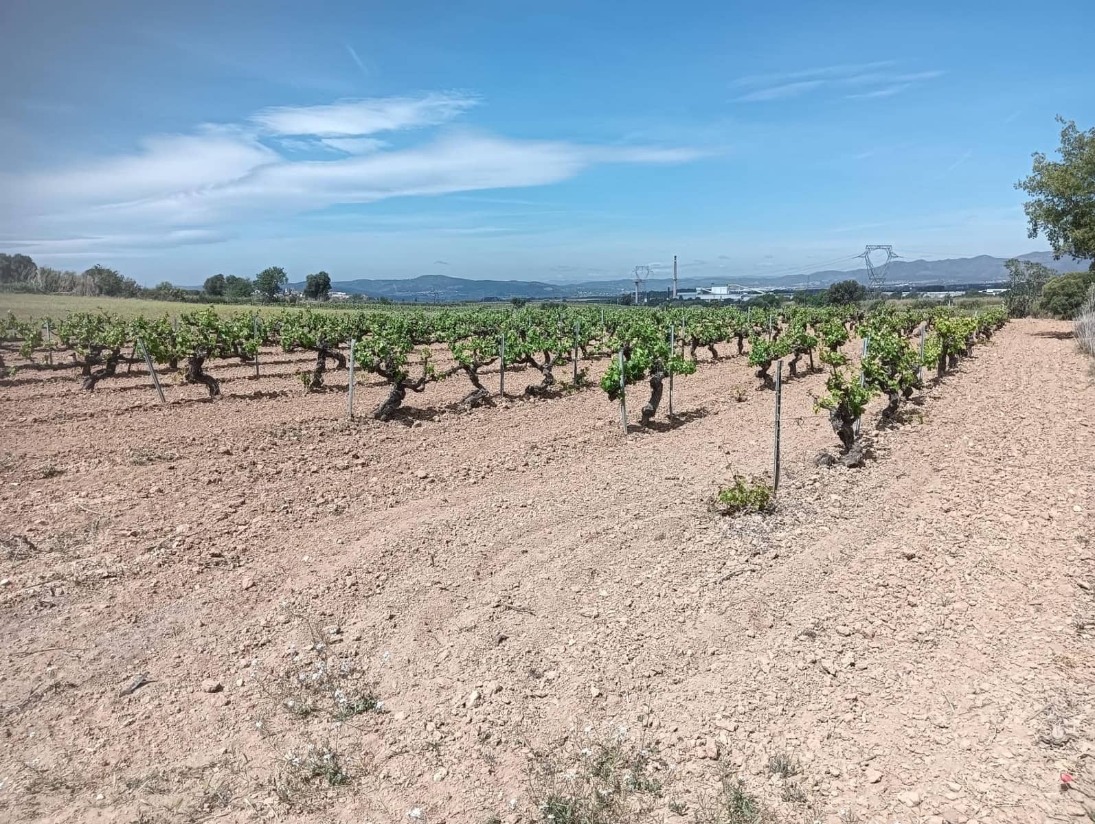 Grond te koop in L'Arboc - € 56.000 (Ref: 9151965)