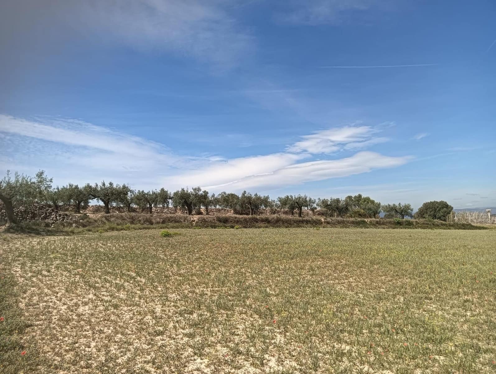 Grond te koop in L'Arboc - € 56.000 (Ref: 9151965)