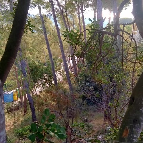 Building Plot for sale in Cunit - € 65,000 (Ref: 9151972)