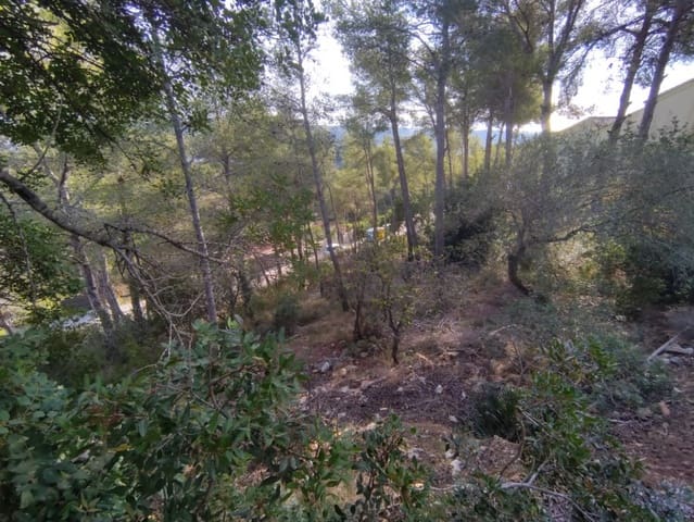 Building Plot for sale in Cunit - € 65,000 (Ref: 9151972)