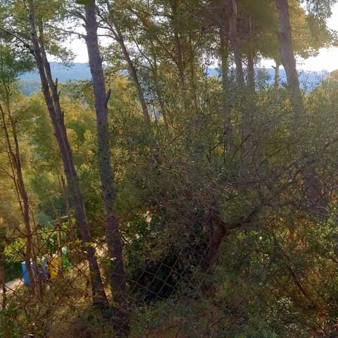 Building Plot for sale in Cunit - € 65,000 (Ref: 9151972)