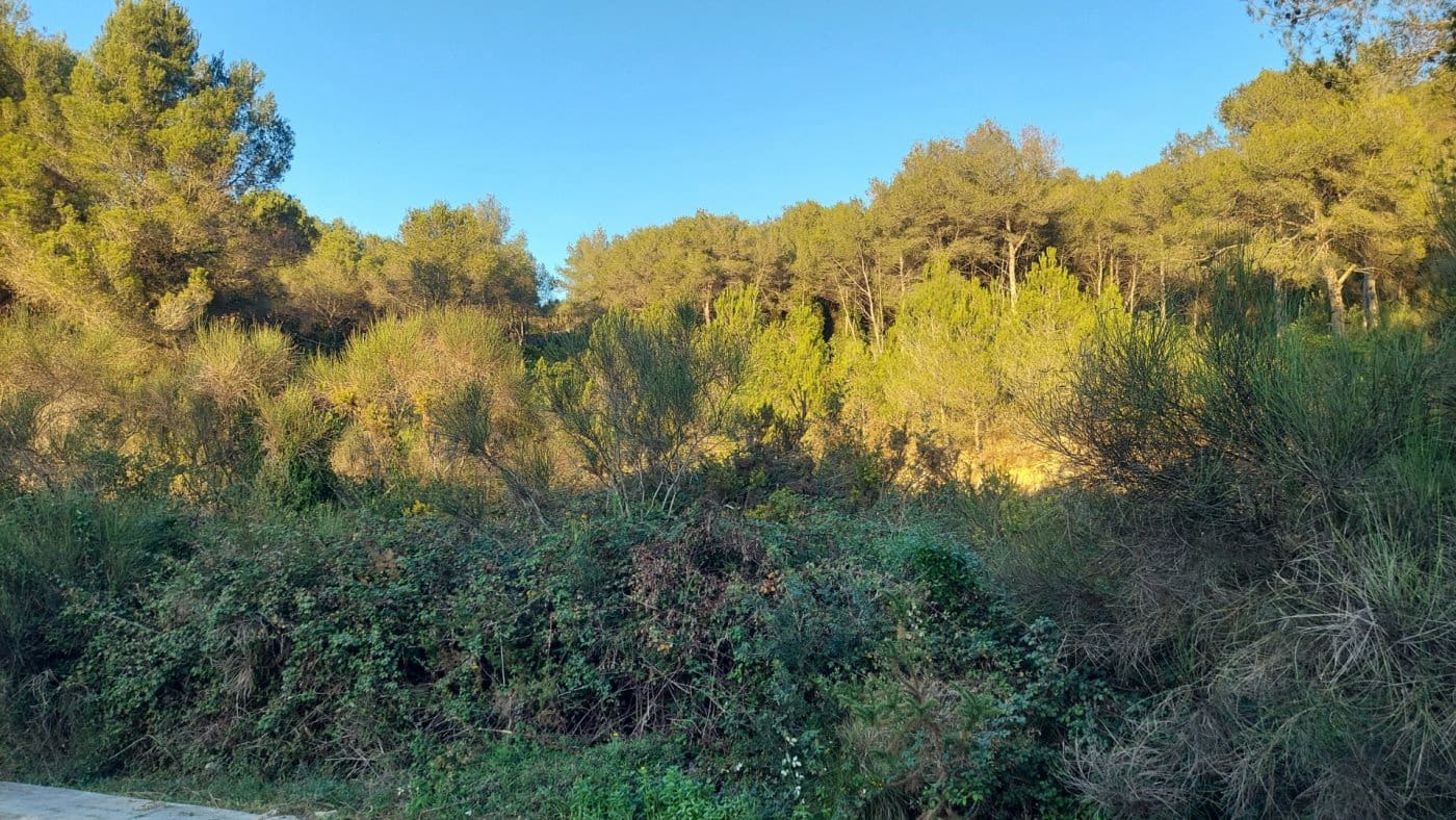 Byggetomt til salgs i Calafell - € 45 000 (Ref: 9152018)