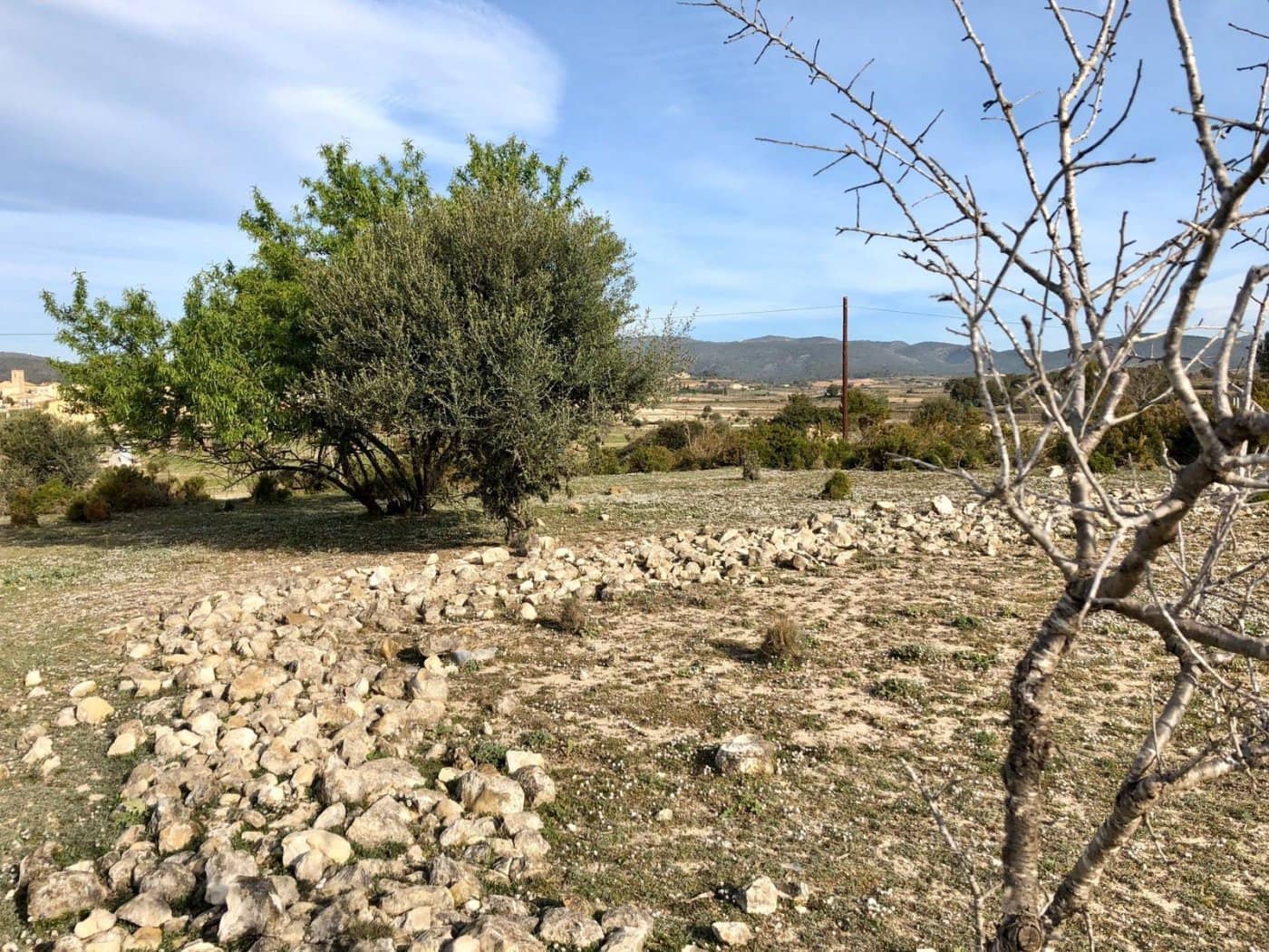 Bouwgrond te koop in Sant Jaume dels Domenys - € 30.000 (Ref: 9152028)