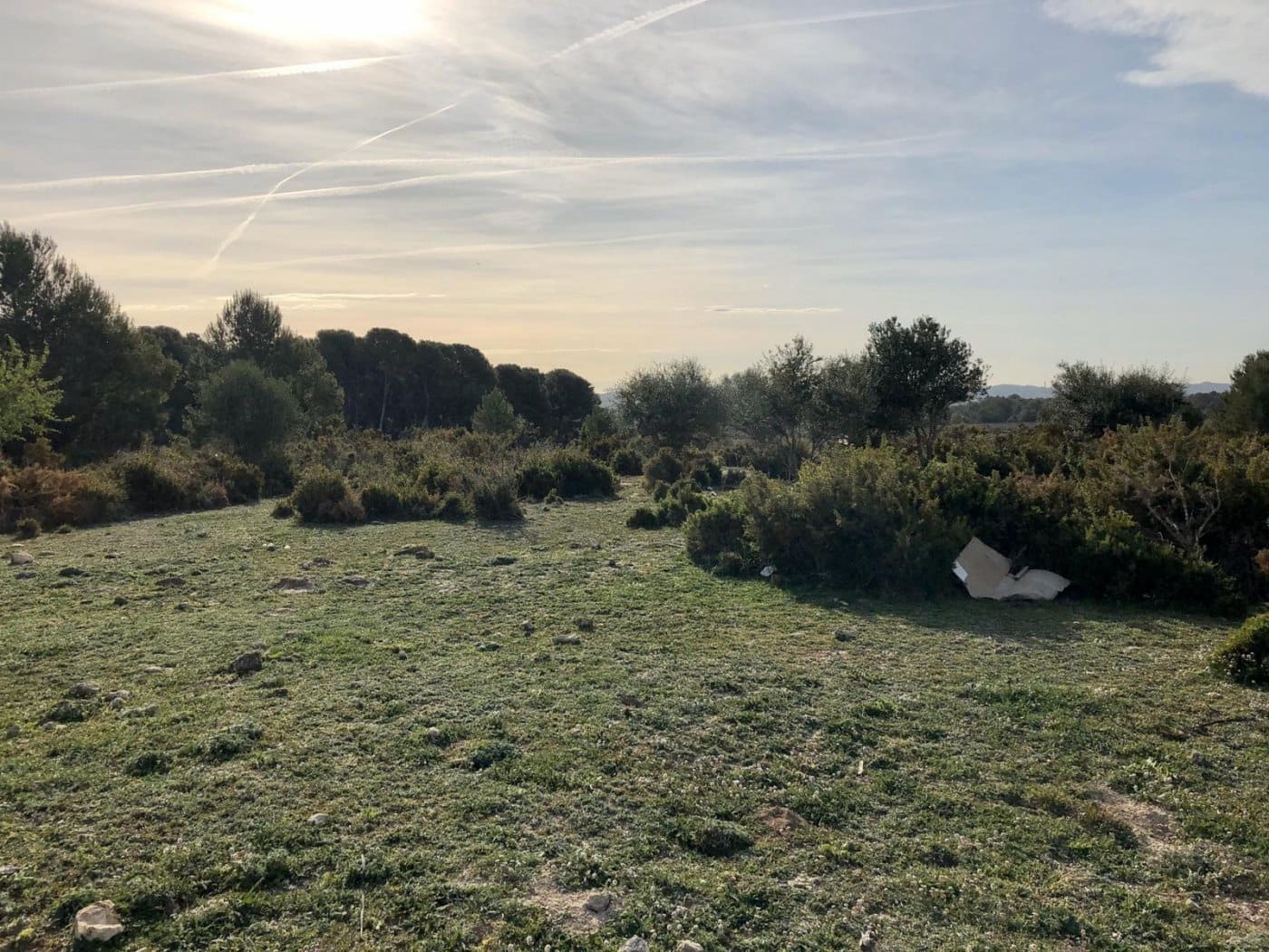 Bouwgrond te koop in Sant Jaume dels Domenys - € 30.000 (Ref: 9152028)