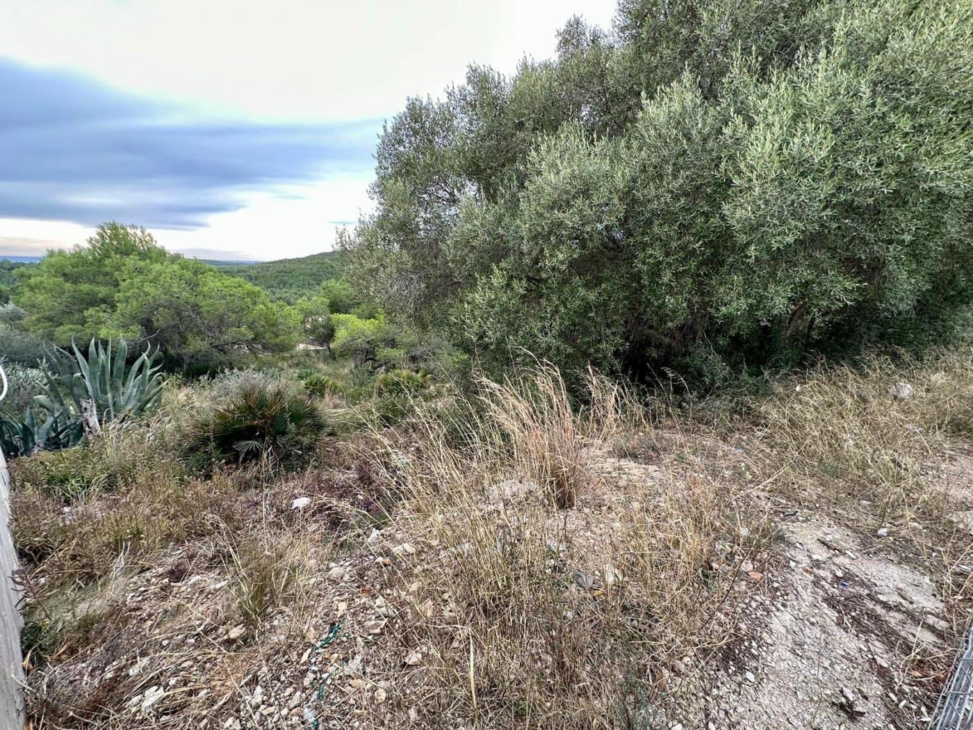 Byggegrund til salg i El Vendrell - € 67.500 (Ref: 9152031)