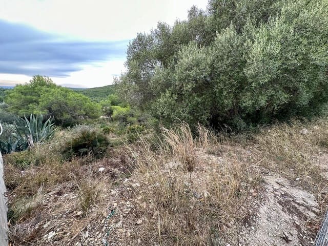 Tontti myytävänä paikassa El Vendrell - 67 500 € (Ref: 9152031)