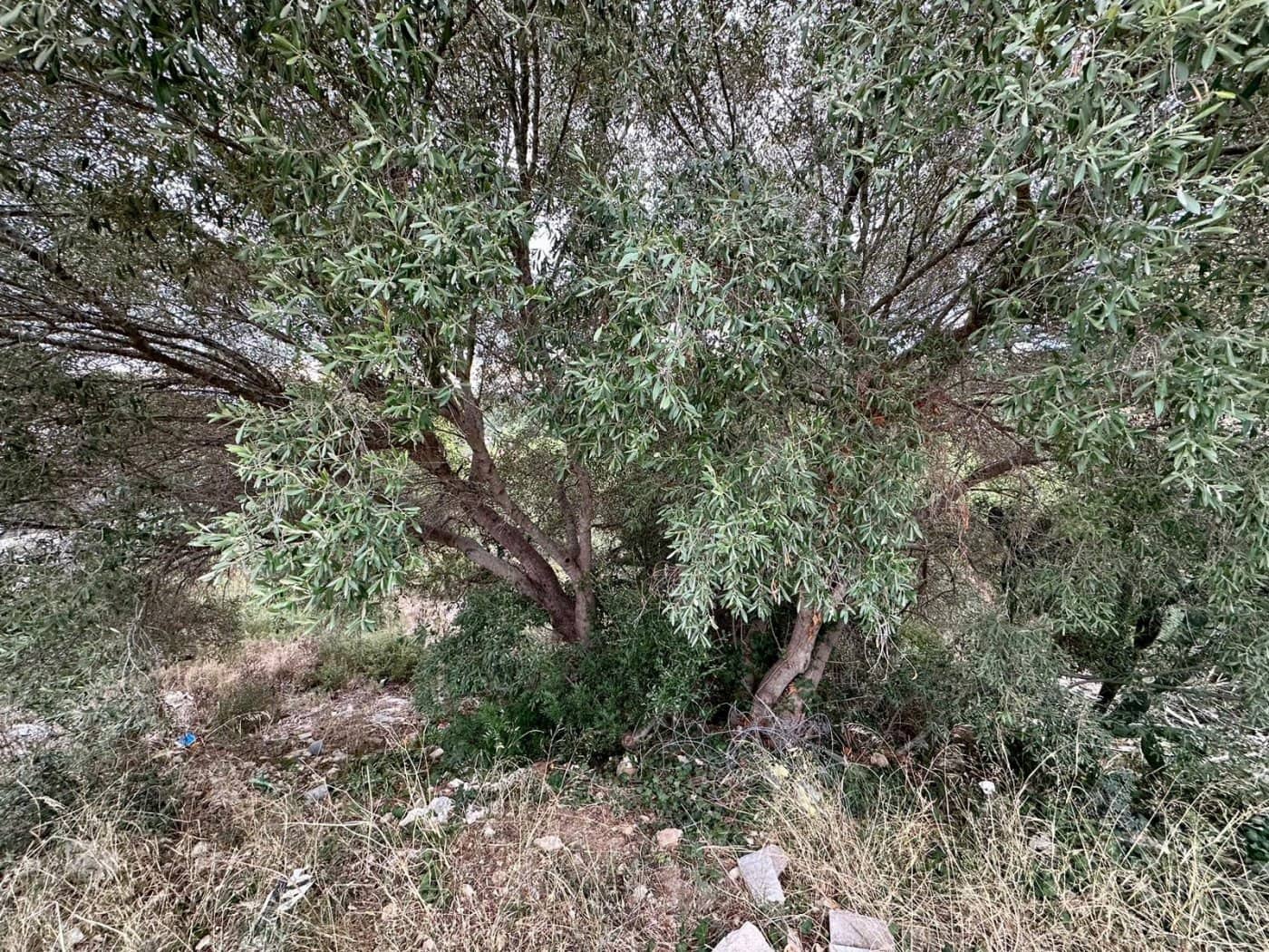 Byggegrund til salg i El Vendrell - € 67.500 (Ref: 9152031)