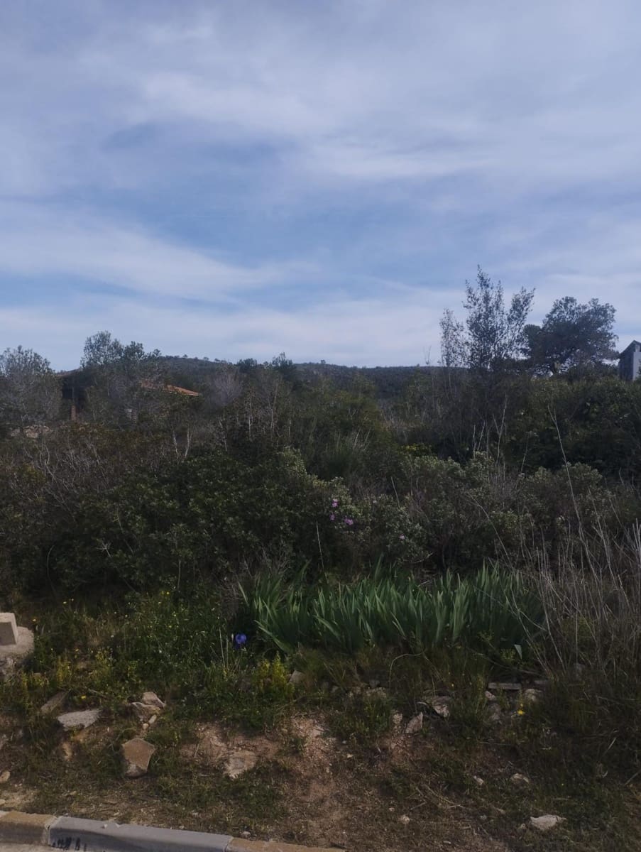 Byggegrund til salg i La Bisbal del Penedes - € 32.000 (Ref: 9152036)