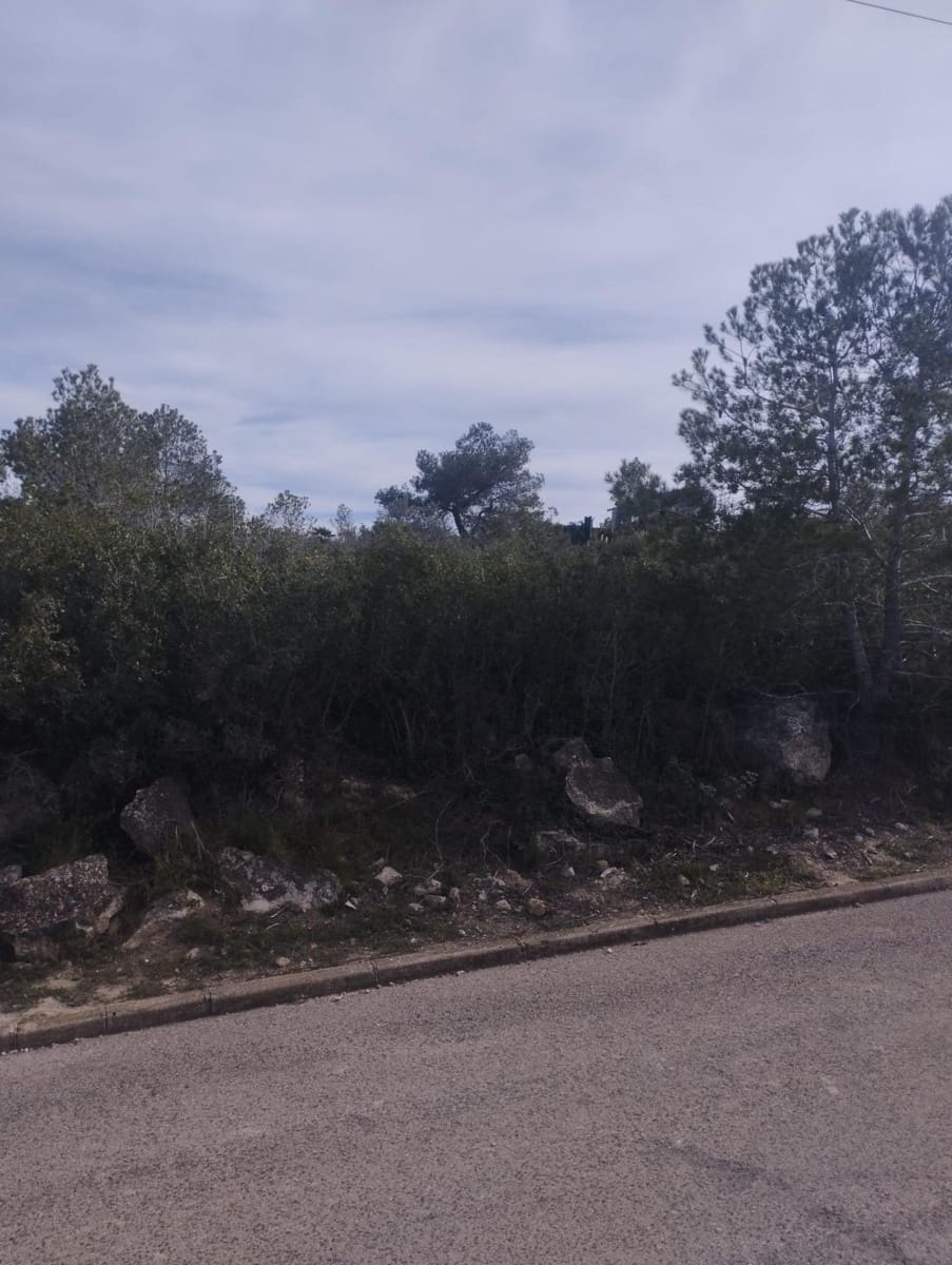 Byggegrund til salg i La Bisbal del Penedes - € 32.000 (Ref: 9152036)