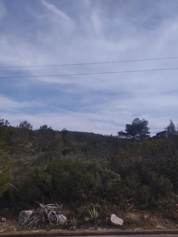 Tomt till salu i La Bisbal del Penedès - 32 000 € (Ref: 9152036)