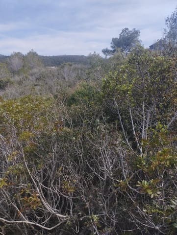 Tomt till salu i La Bisbal del Penedès - 32 000 € (Ref: 9152036)