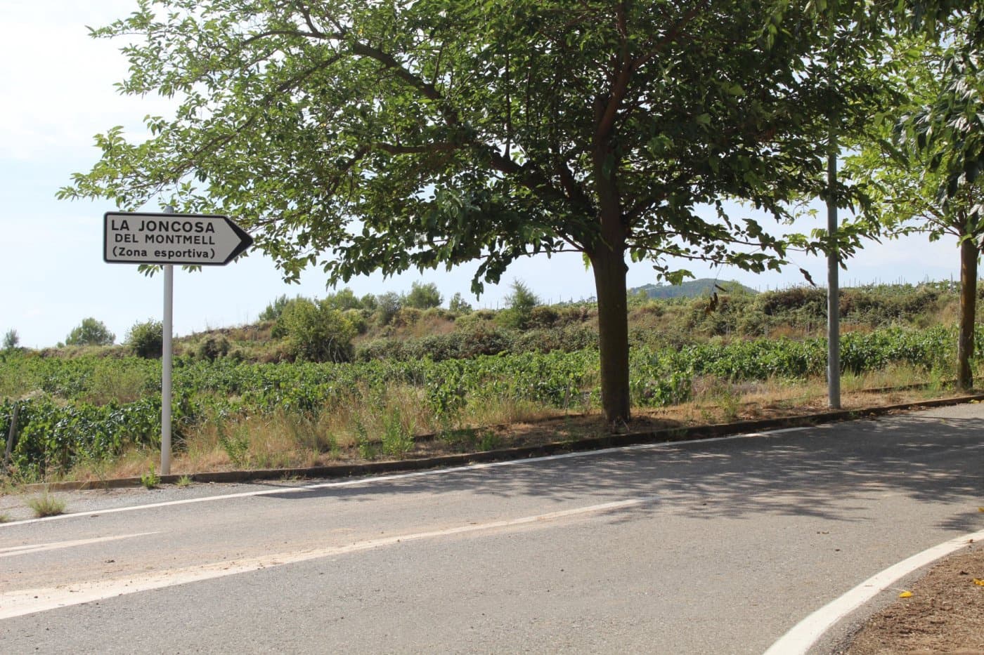 Byggegrund til salg i El Montmell - € 70.000 (Ref: 9152051)