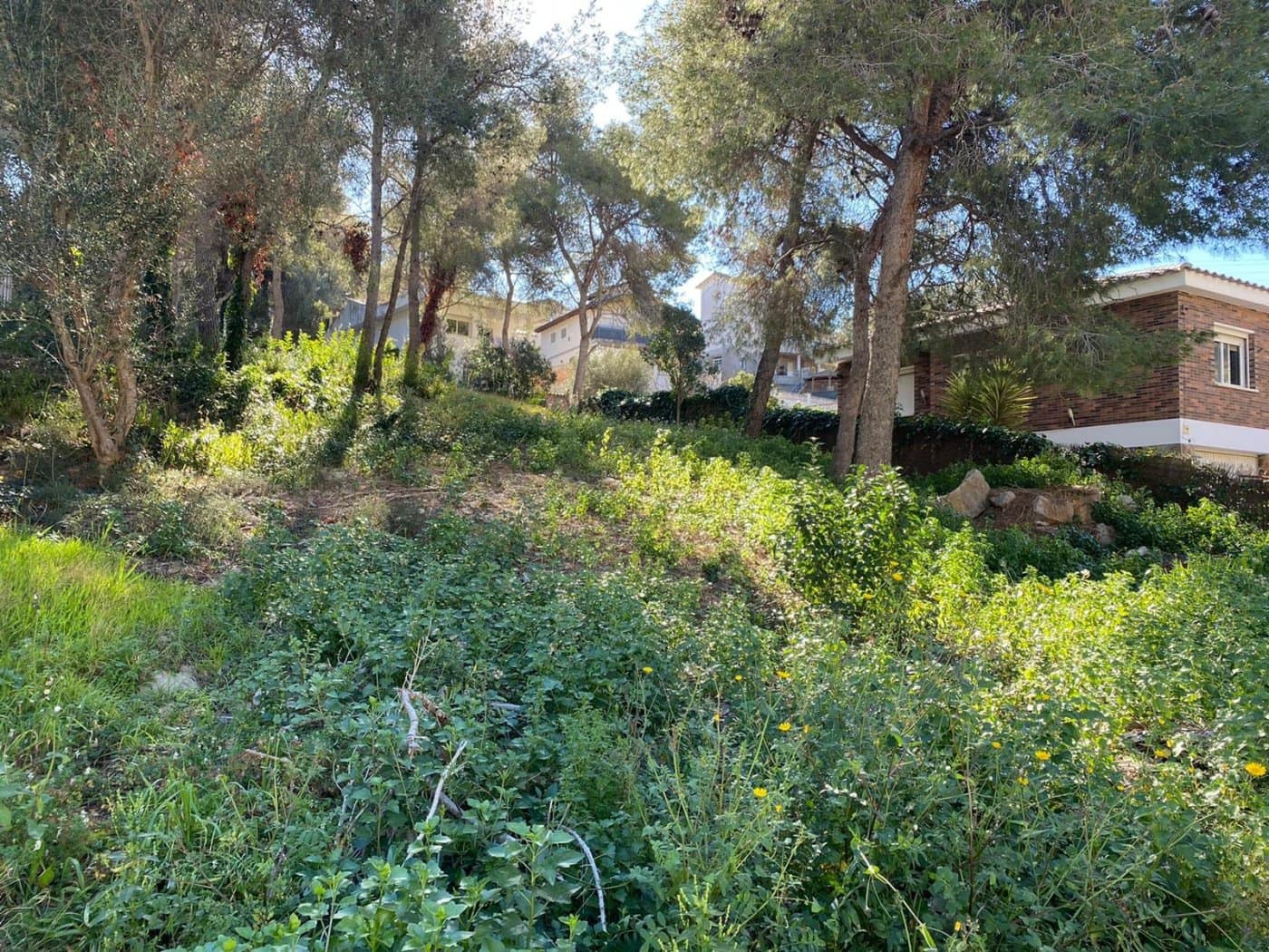 Byggetomt til salgs i Cubelles - € 85 000 (Ref: 9152059)