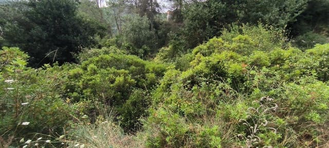 Tomt till salu i El Montmell - 18 000 € (Ref: 9208254)