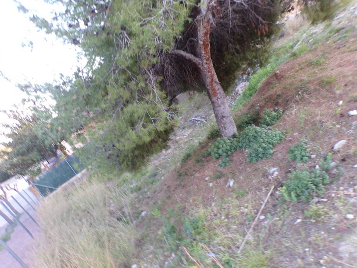 Byggetomt til salgs i Roda de Bara - € 110 000 (Ref: 9296817)