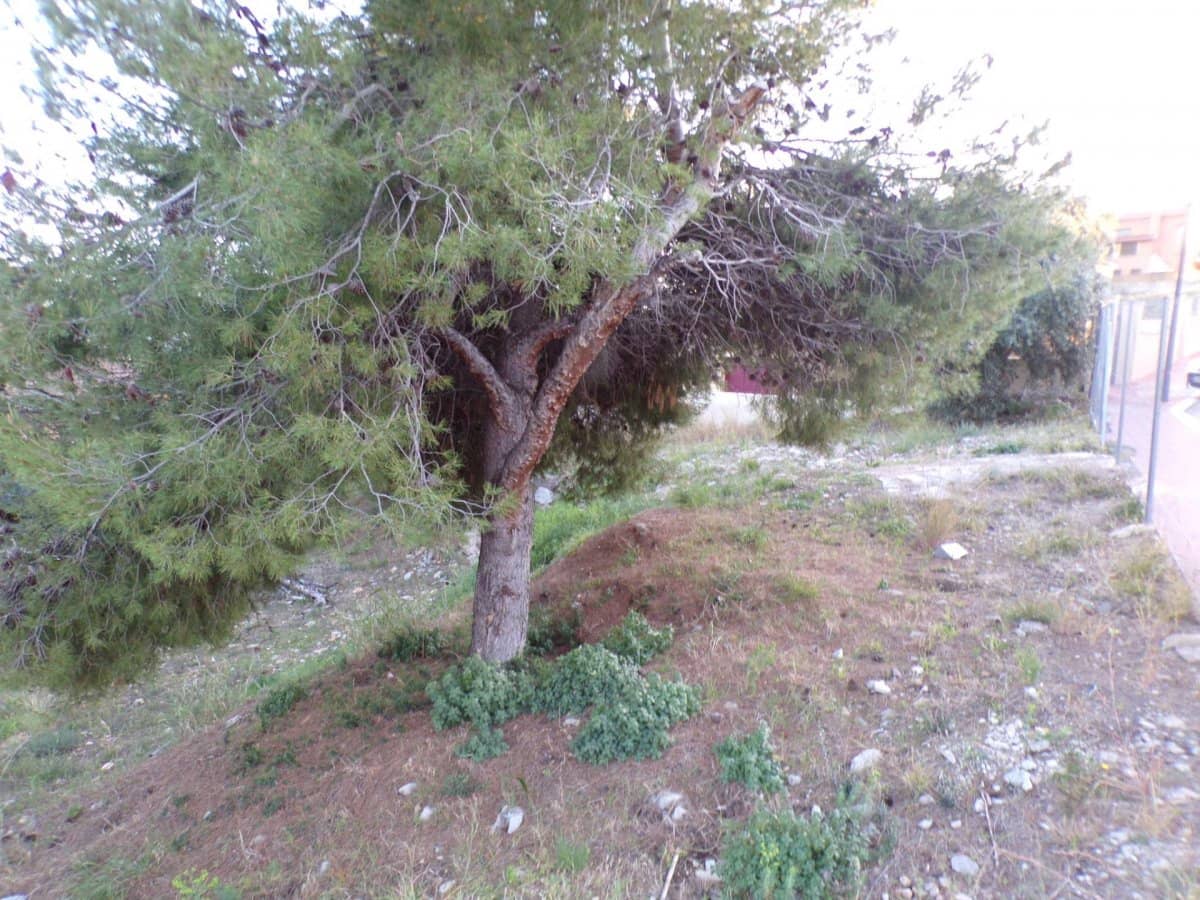 Byggetomt til salgs i Roda de Bara - € 110 000 (Ref: 9296817)