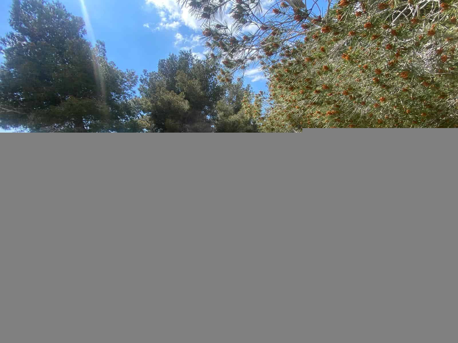 Building Plot for sale in Calafell - € 55,000 (Ref: 9296824)