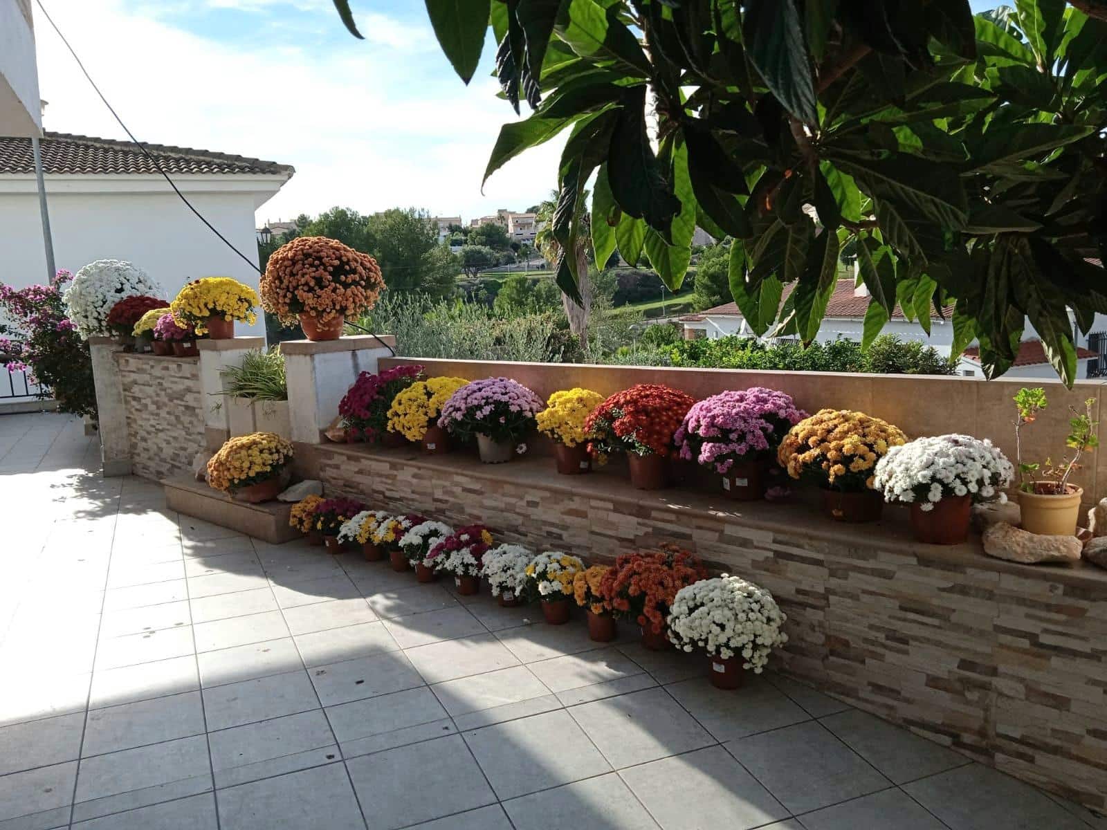 5 bedroom Villa for sale in La Pobla de Montornes - € 265,000 (Ref: 9385545)