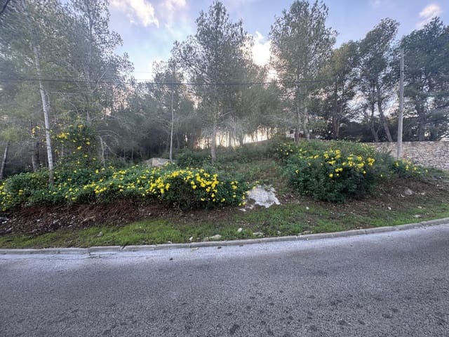 Terreno para Construção para venda em La Bisbal del Penedès - 29 900 € (Ref: 9474169)