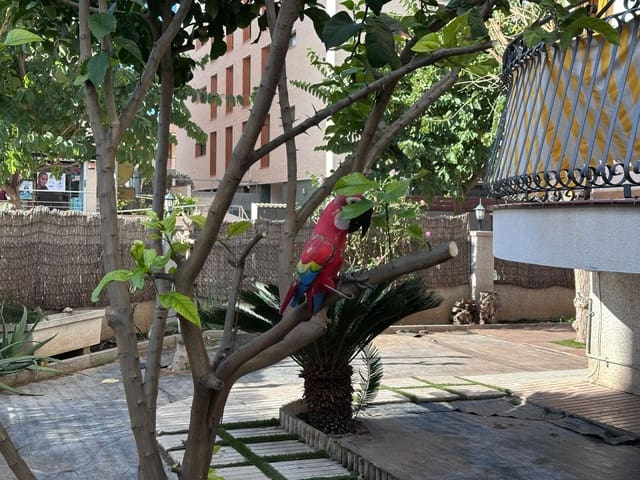 3 soveværelse Lejlighed til salg i Segur de Calafell, Calafell - € 245.000 (Ref: 9499006)