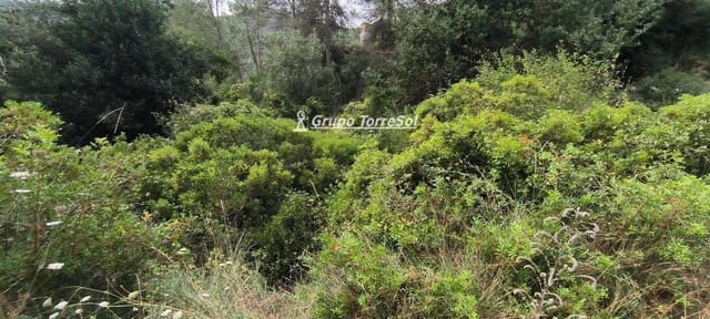 Area Edificabile in vendita in El Montmell - 18.000 € (Rif: 9534630)