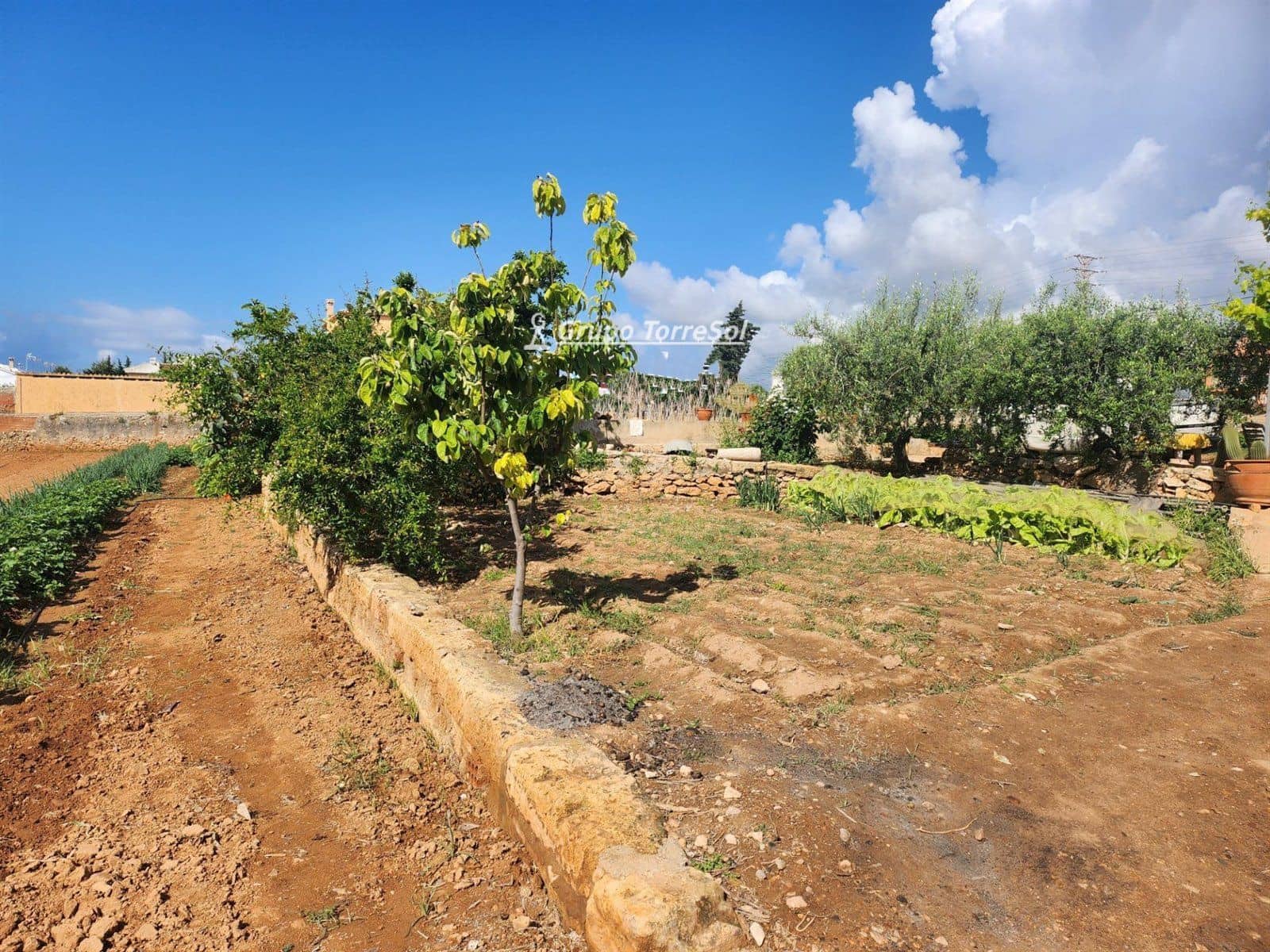 Area Edificabile in vendita in Torredembarra - 2.675.000 € (Rif: 9534703)