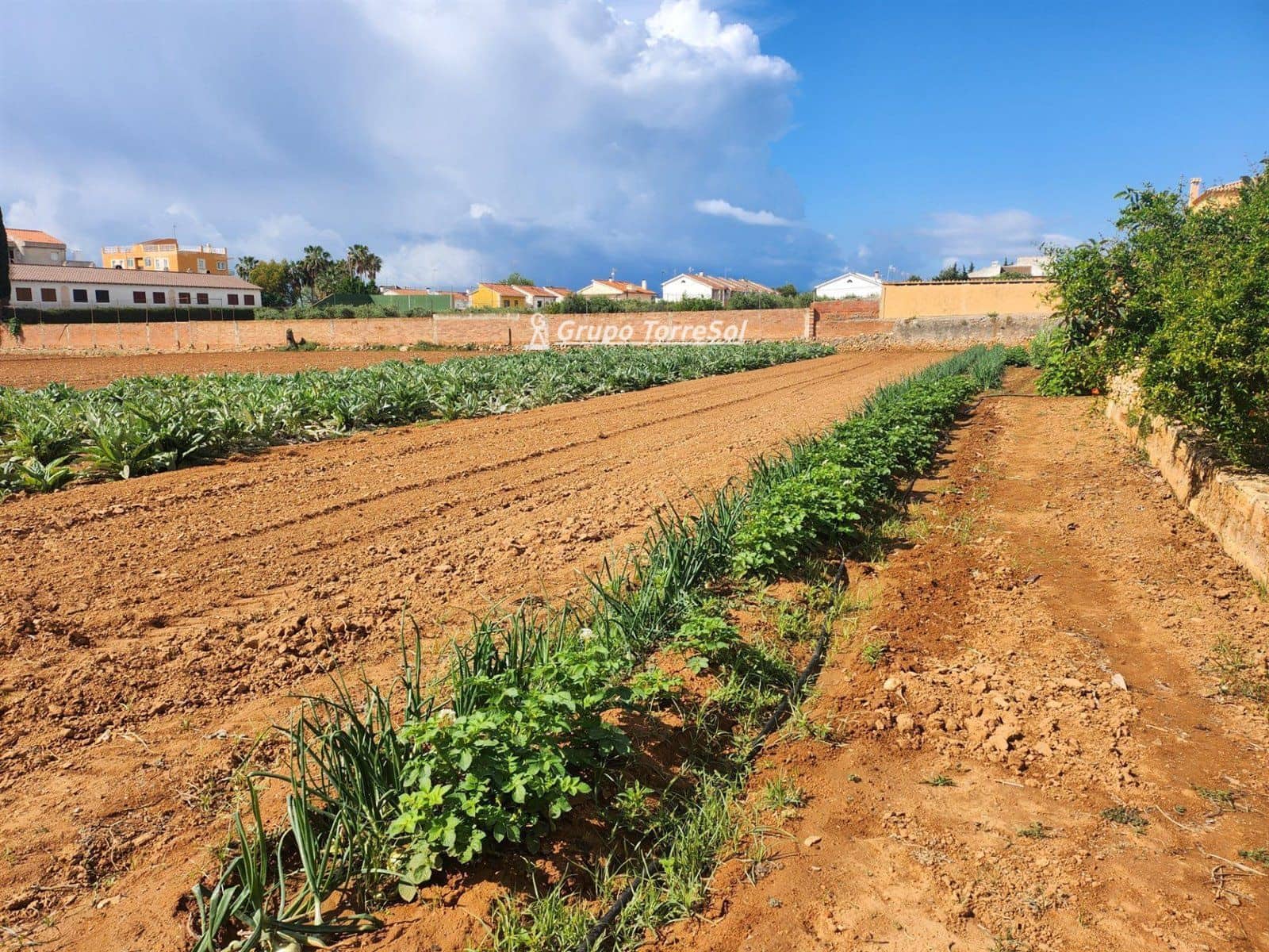 Area Edificabile in vendita in Torredembarra - 2.675.000 € (Rif: 9534703)