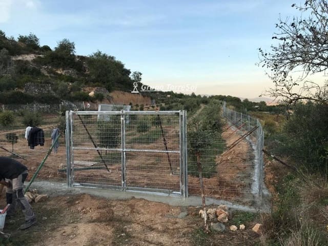 Area Edificabile in vendita in Albinyana - 450.000 € (Rif: 9534716)