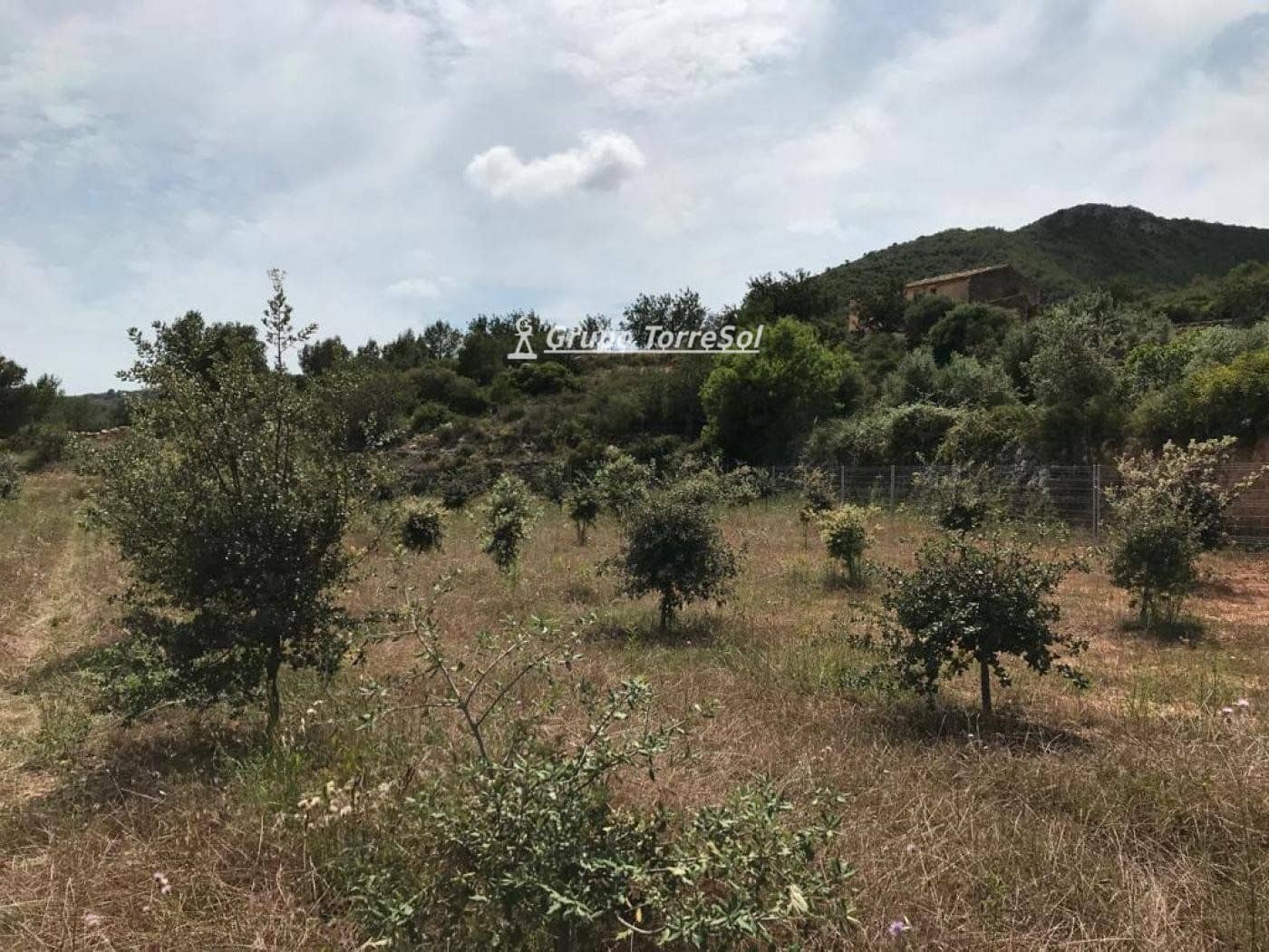 Area Edificabile in vendita in Albinyana - 450.000 € (Rif: 9534716)