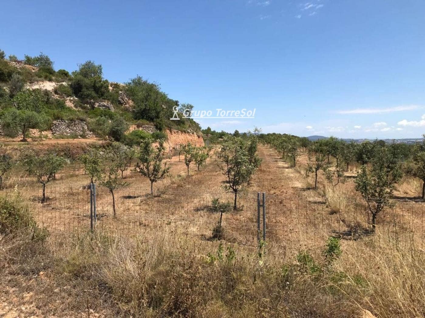 Area Edificabile in vendita in Albinyana - 450.000 € (Rif: 9534716)