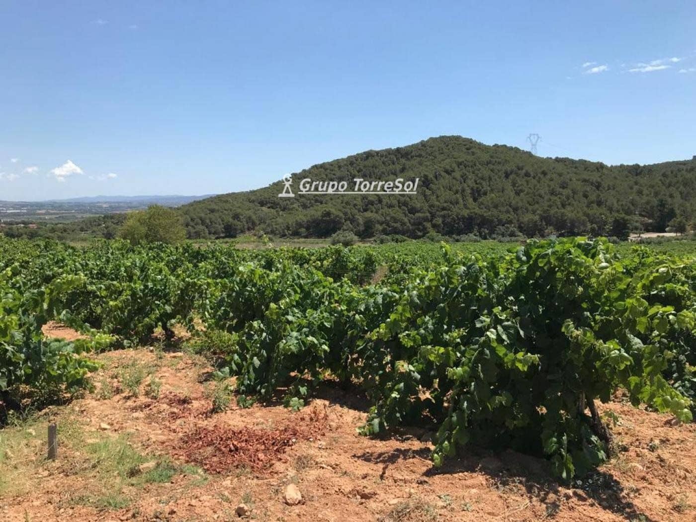 Area Edificabile in vendita in Albinyana - 450.000 € (Rif: 9534716)