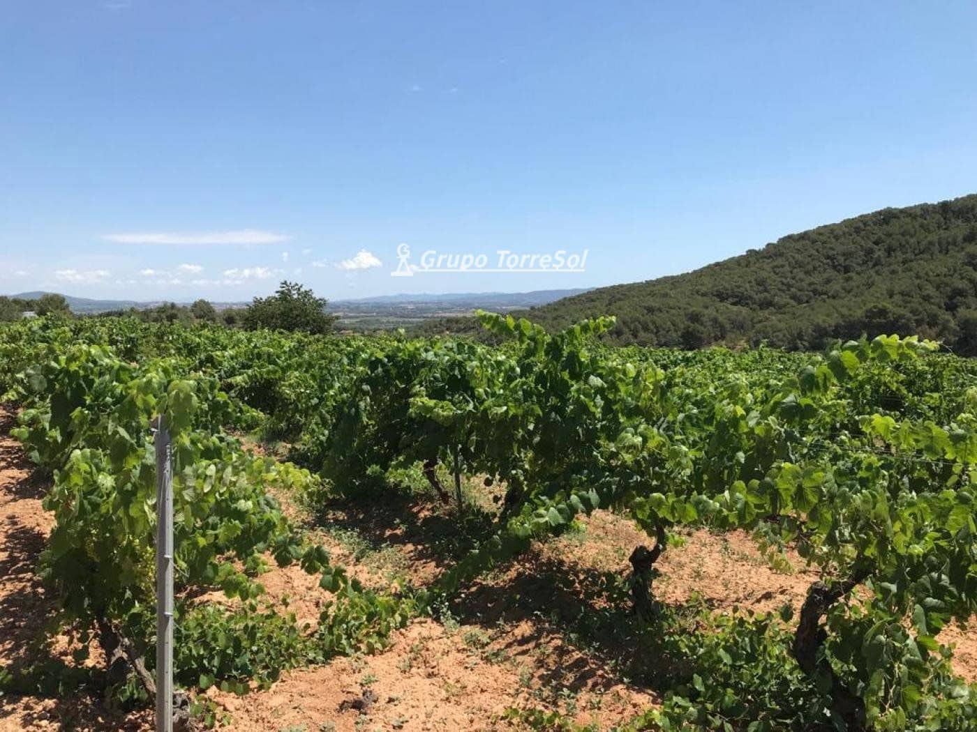 Area Edificabile in vendita in Albinyana - 450.000 € (Rif: 9534716)