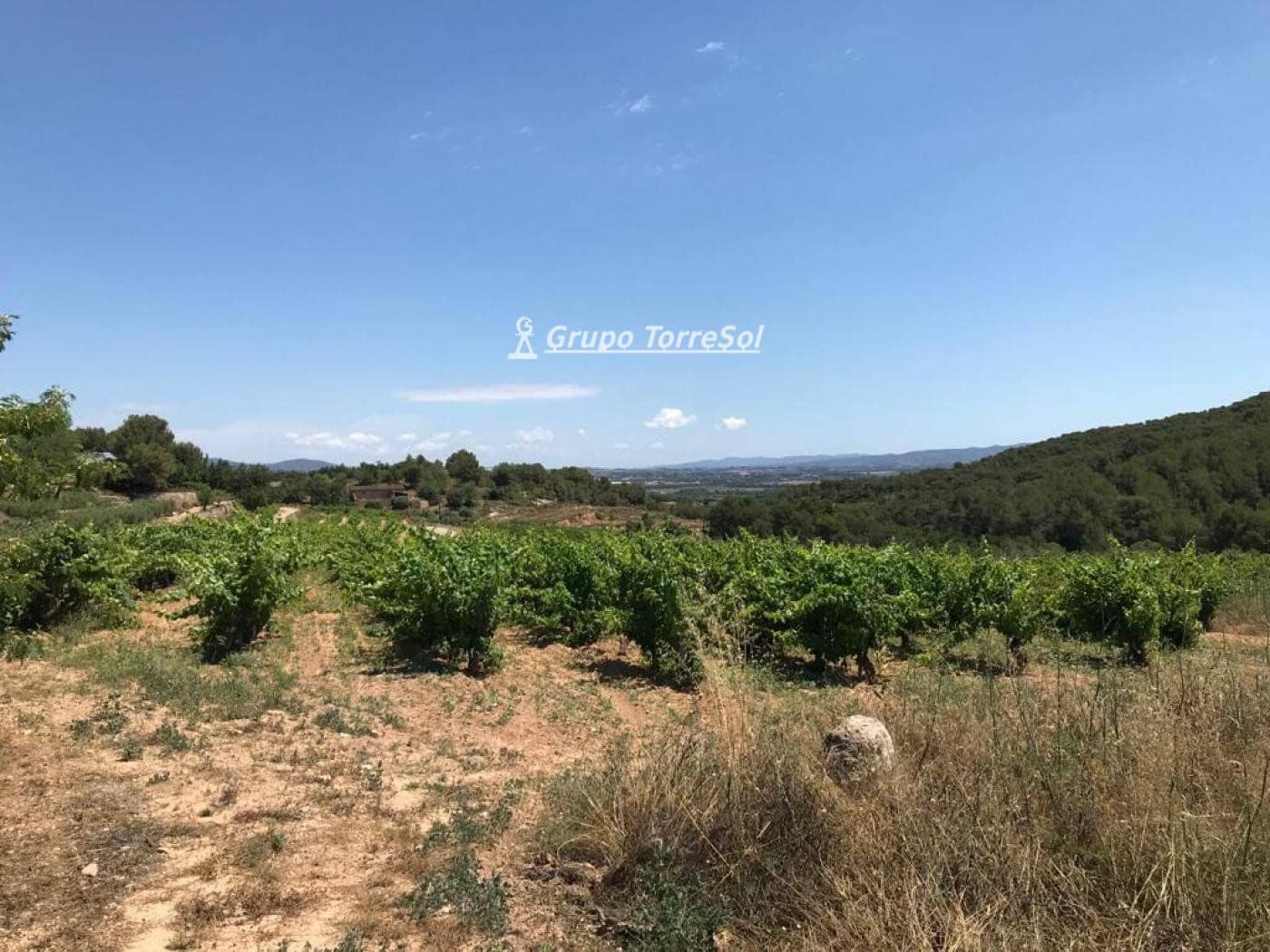 Area Edificabile in vendita in Albinyana - 450.000 € (Rif: 9534716)