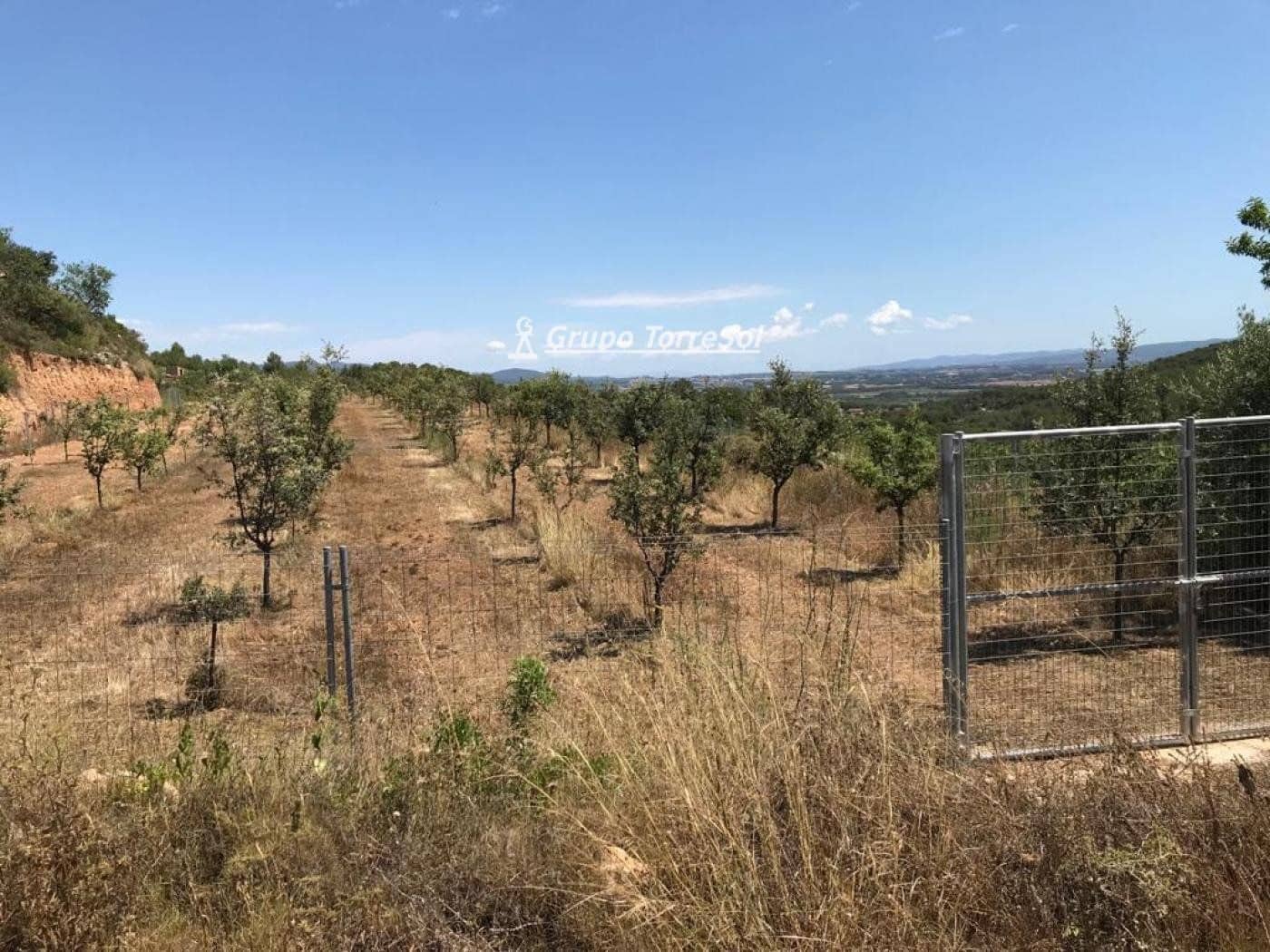 Area Edificabile in vendita in Albinyana - 450.000 € (Rif: 9534716)