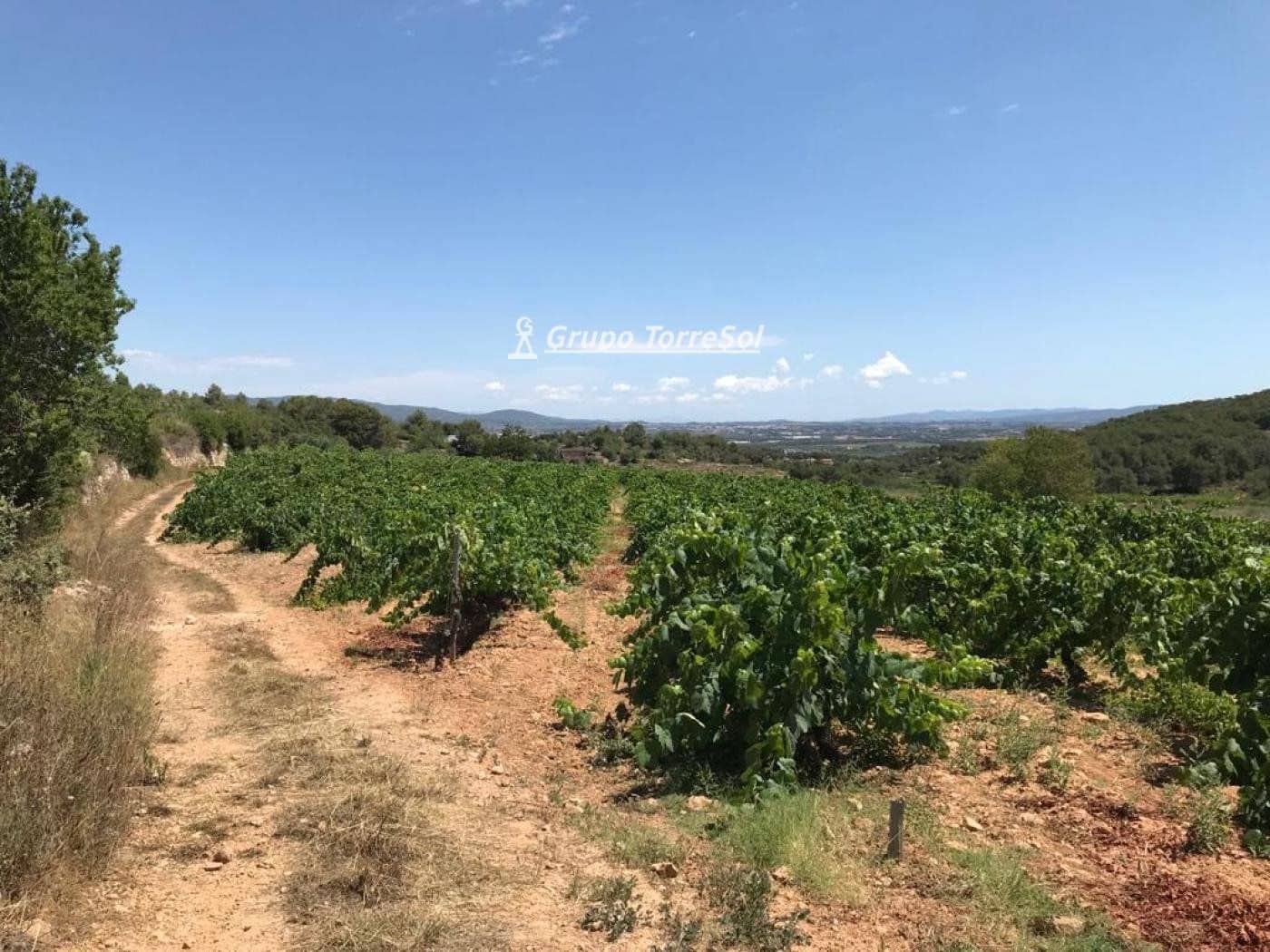 Area Edificabile in vendita in Albinyana - 450.000 € (Rif: 9534716)