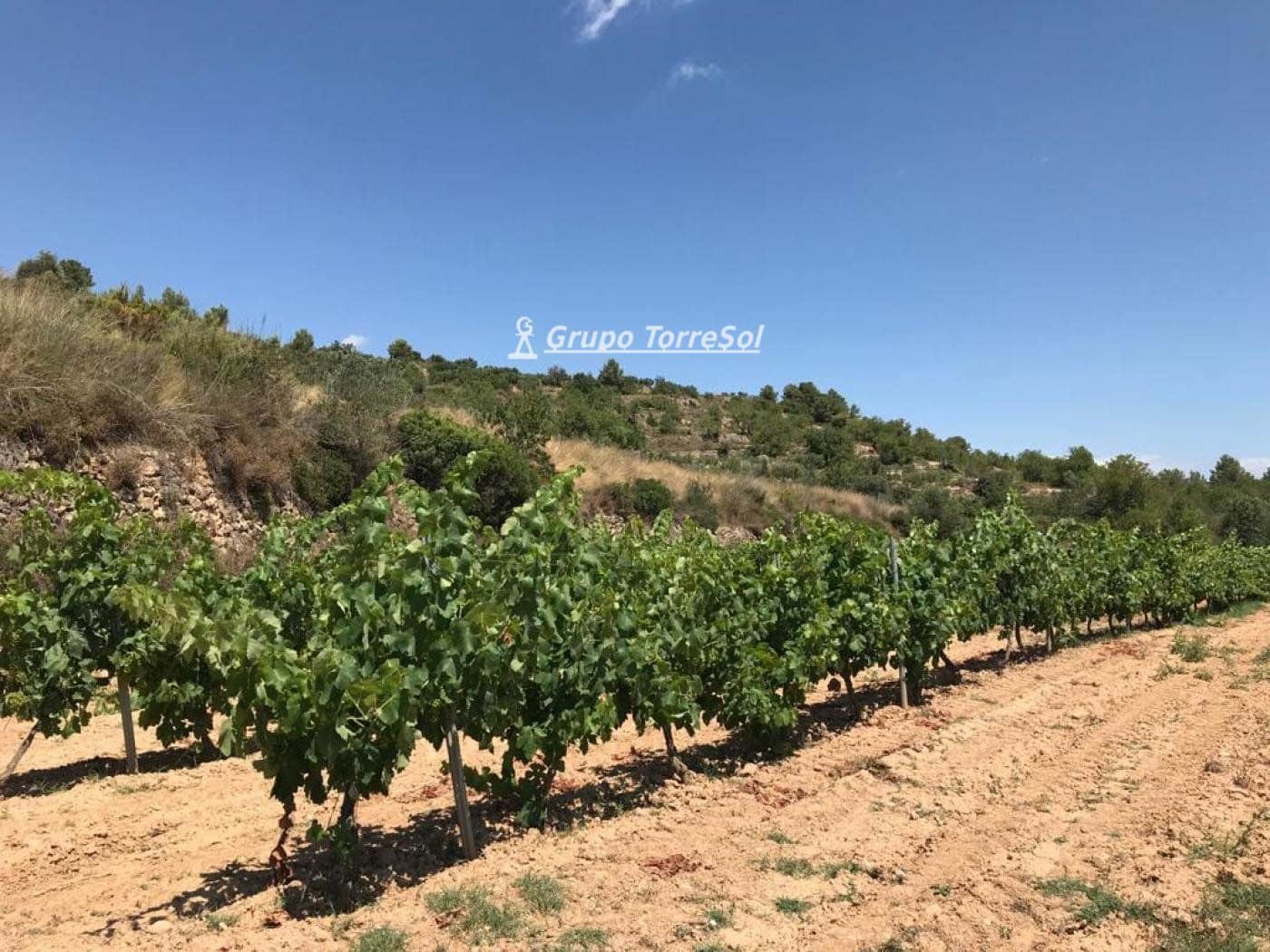 Area Edificabile in vendita in Albinyana - 450.000 € (Rif: 9534716)