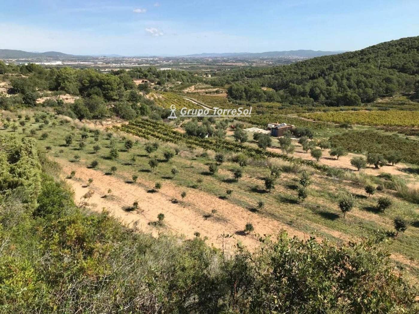 Area Edificabile in vendita in Albinyana - 450.000 € (Rif: 9534716)