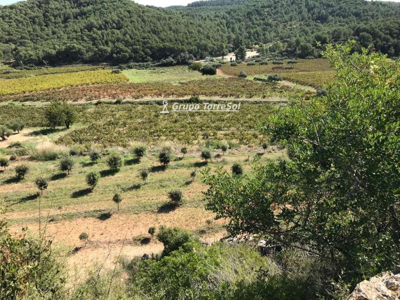 Area Edificabile in vendita in Albinyana - 450.000 € (Rif: 9534716)