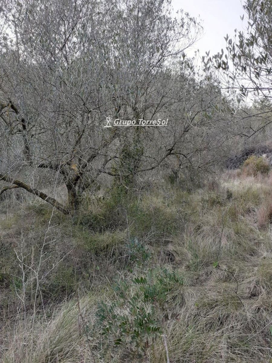 Działka budowlana na sprzedaż w Salomo - 30 000 € (Ref: 9534722)