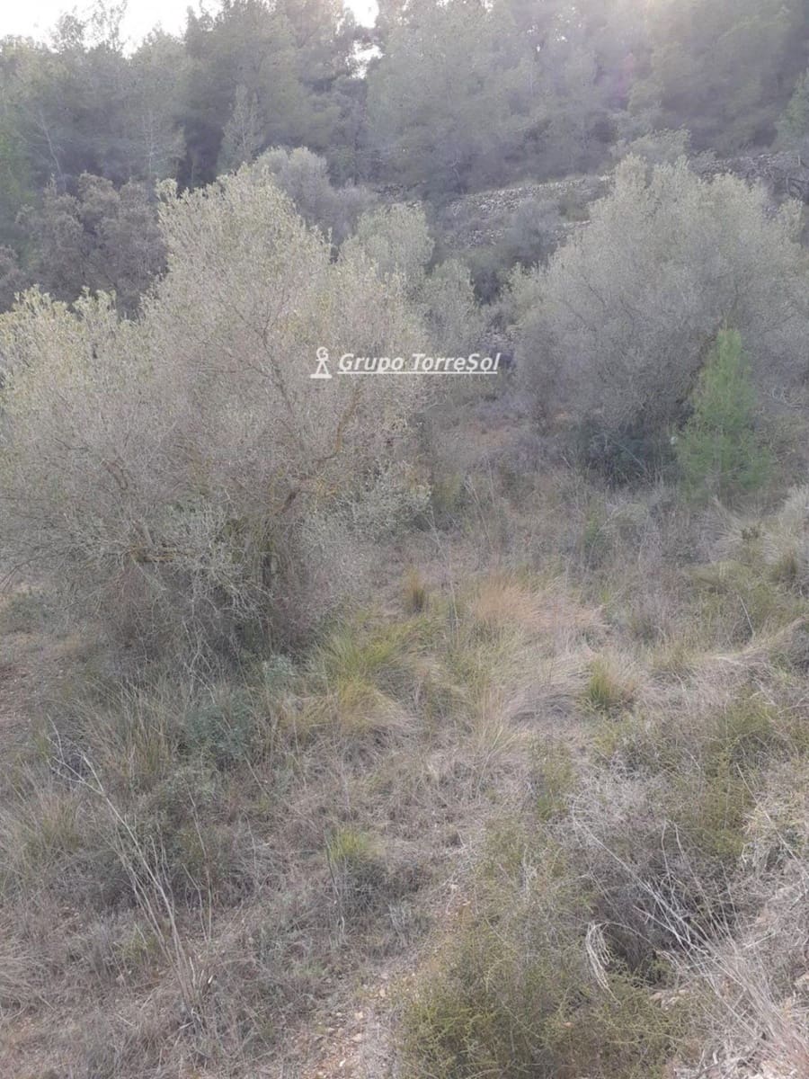 Działka budowlana na sprzedaż w Salomo - 30 000 € (Ref: 9534722)